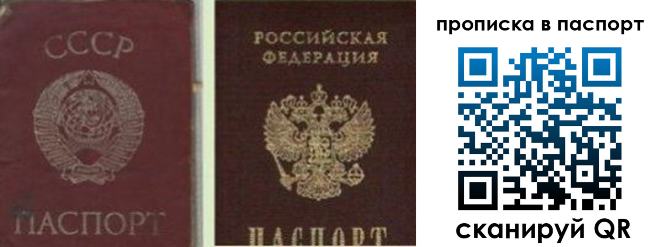 временная регистрация недорого в Жукове